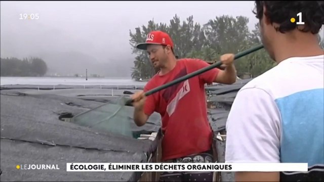 La bio conversion de déchets organiques au service de l’aquaculture