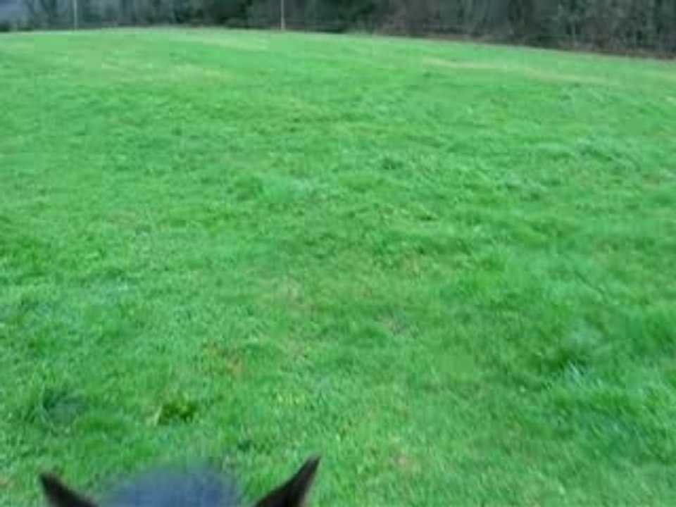 Ballade du 19 janvier , video 2