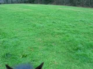 Ballade du 19 janvier , video 2