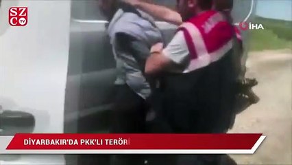 Diyarbakır’da PKK’lı terörist yakalandı