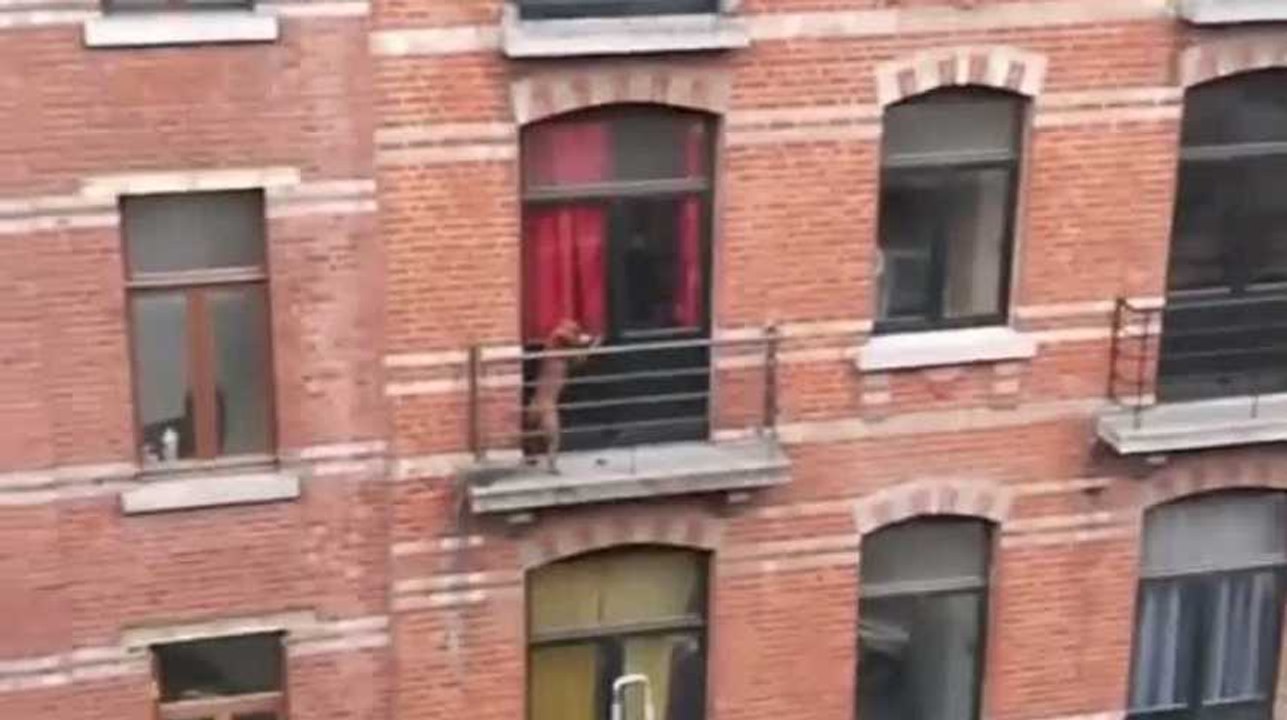 Bruxelles : il enferme et abandonne son chien sur son balcon en pleine tempête !