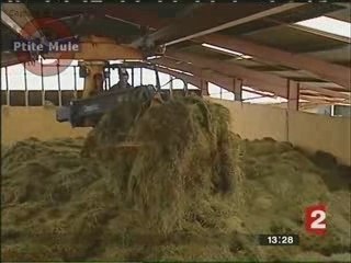Le chauffage à la bouse de vache