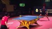 Timo Boll vs Zhou Yu | 2019 ITTF Hong Kong Open Highlights (1/4)