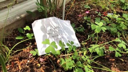 Şehit Mezarına Bırakılan Not Duygulandırdı