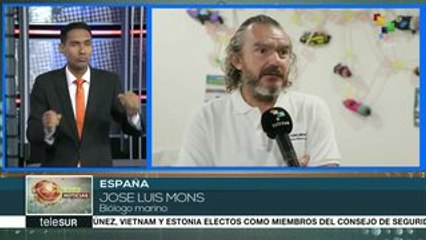 Este 8 de junio se celebra el Día Internacional de los Océanos