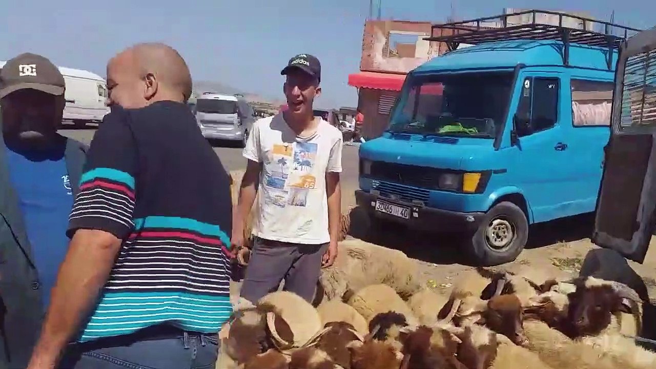 مباشرة من سوق سبت الزينات طنجة