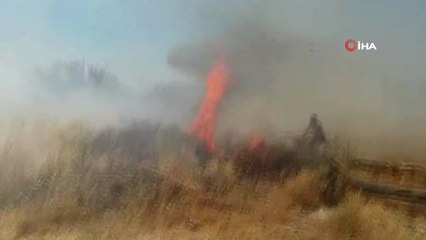 Anız yangını odunluğu küle döndürdü