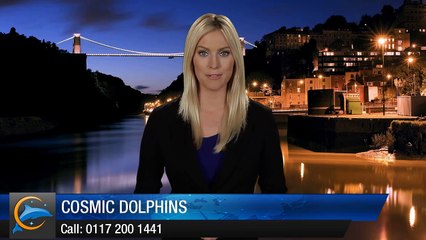 Reputation Marketing Cosmic Dolphins Bristol Outstanding 5 Star Review by Vicky
