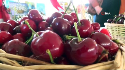 Tekirdağ'da en iyi kiraz yarışması