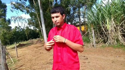 brincadeira de moleque inocente marquinho de guarei