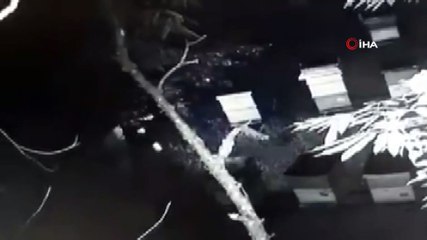 Arı kovanlarını tekmeleyerek deviren vatandaş kameralara yansıdı