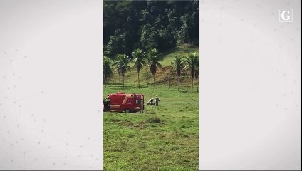 Piloto de parapente sofre acidente no interior de Castelo