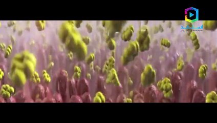 اطرد السموم من جسمك بهذا العصير المكّون من 4 مكونات طبيعة !