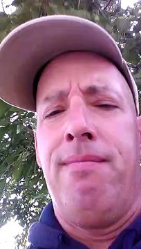 I don't have a brain from the Wizard of Oz by Simon Boulanger