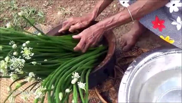 Village de la Nourriture Oignon de Printemps fleur Recette de grand-mère | la Vie du Village