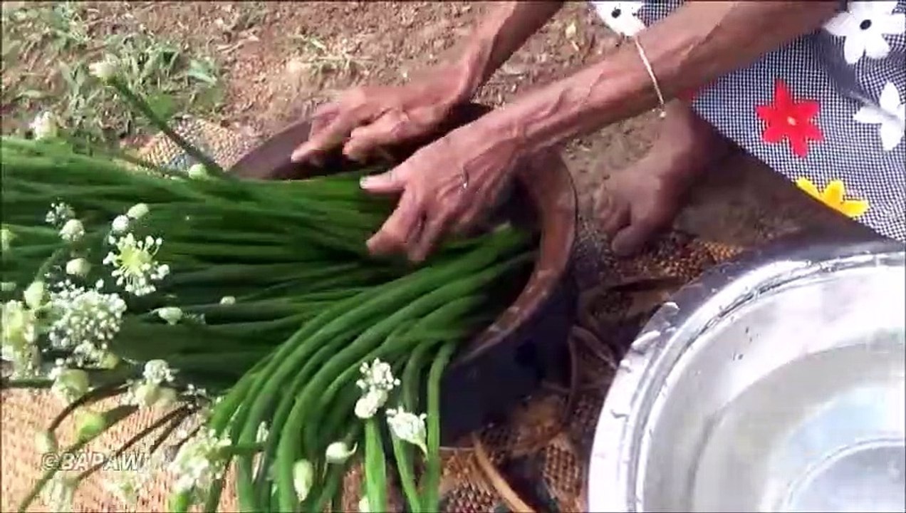 Village de la Nourriture  Oignon de Printemps fleur Recette de grand-mère | la Vie du Village