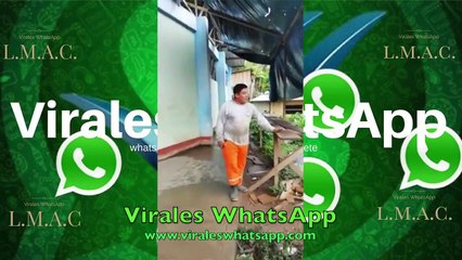COMPILADO Virales WhatsApp 2019