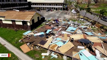 Скачать видео: Lizards' Grip Suddenly Got Ten Times Stronger After Hurricane Maria And No One Knows Why