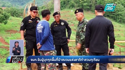 กรมป่าไม้ จับนายทุนบุกรุกป่าสงวนแห่งชาติ จ.เพชรบูรณ์ ทำสวนทุเรียน | เที่ยงทันข่าว
