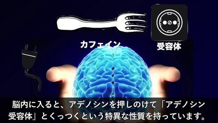 【衝撃】コーヒーが私たちの脳に与える影響