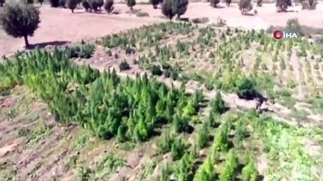 Gri kategoride aranan terörist Yusuf Kayran etkisiz hale getirildi