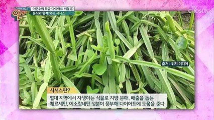 배우 이연수의 특급 다이어트 비결 세 가지♭♭