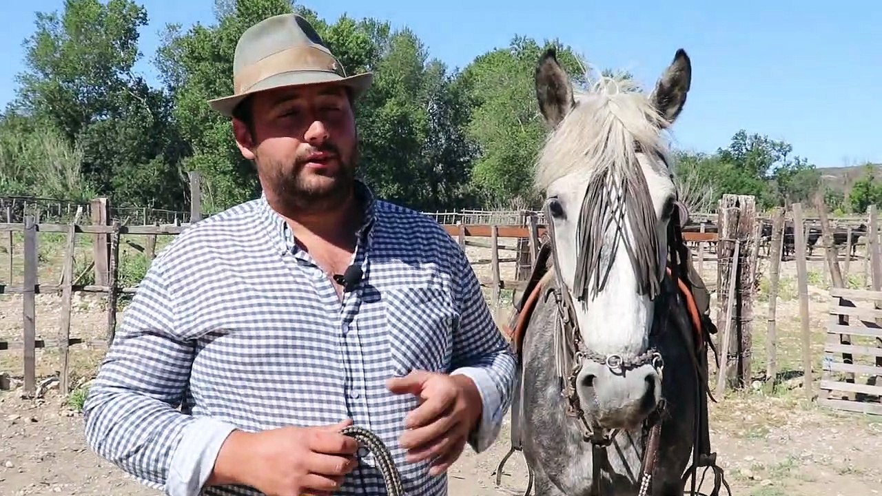 Sernhac :  ferrade des chasseurs