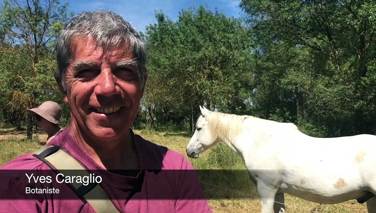 Beaulieu : sortie botanique avec Yves Caraglio