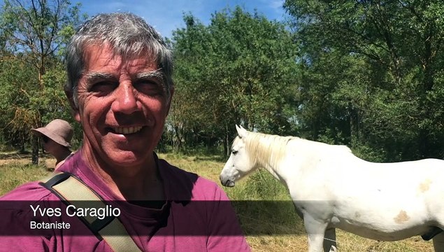 Beaulieu : sortie botanique avec Yves Caraglio