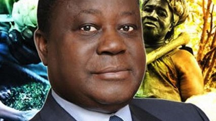 Ivorian govt condemns xenophobic remarks by ex-President