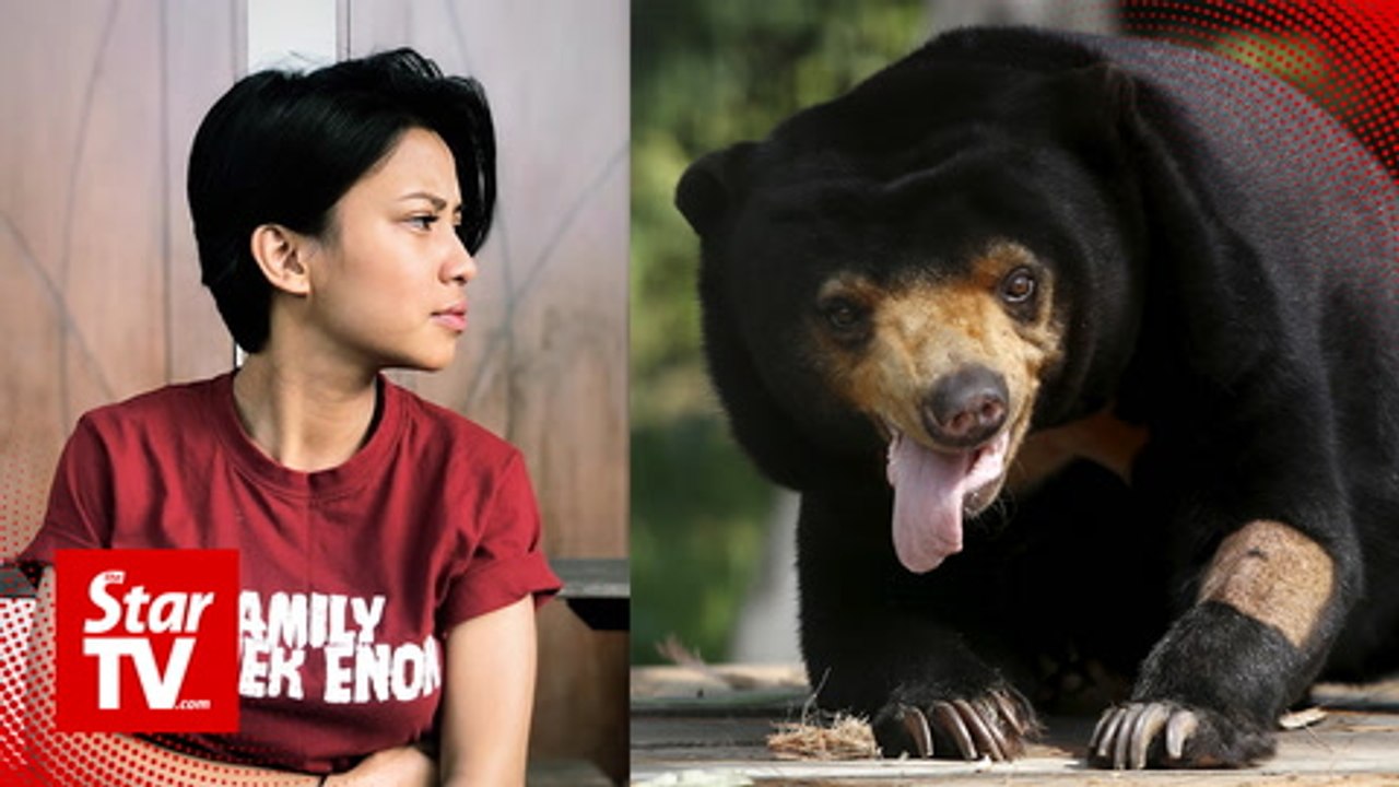 Singer who kept sun bear in her house speaks up