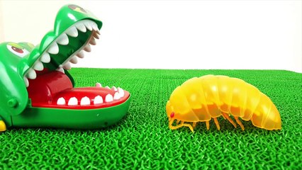 Various Roly-Poly Learn Colors Insect Step into the Fumbling Toy Spo Spo Crocodile's