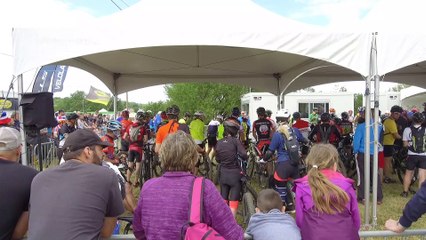 Les Crapauds : une course aux mille visages