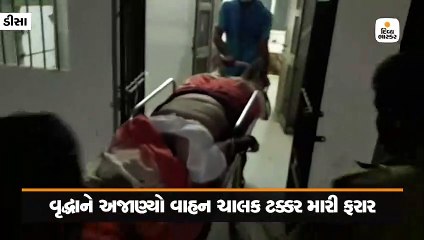 ડીસા: શ્વાનોને રોટલા ખવડાવવા જતા વૃદ્ધાને અજાણ્યા વાહન ઉલાળતાં મોત
