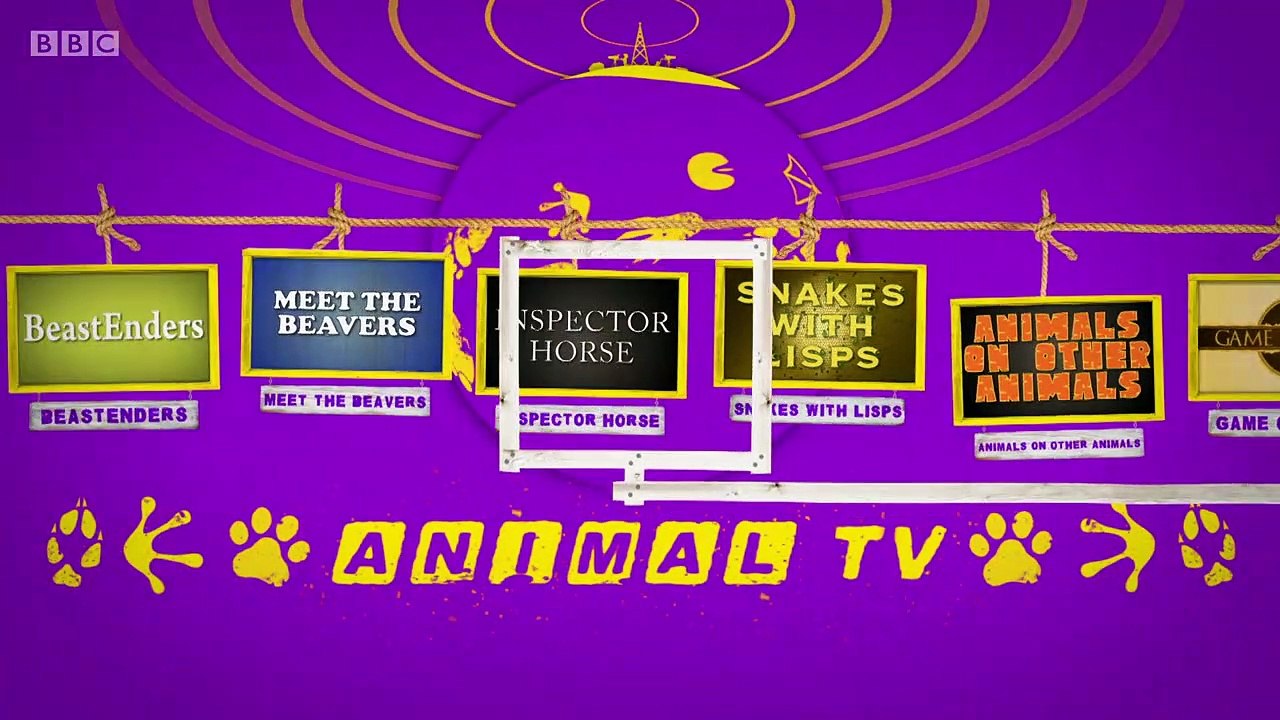 Animal_TV-s01e04-Beastenders