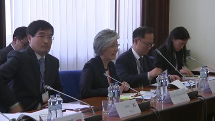 정부, 다뉴브강 인접 국가와 공조 강화...수색 효과 극대화 총력 / YTN