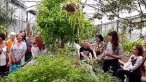 Connaitre les plantes et apprendre à dessiner au jardin botanique de Metz