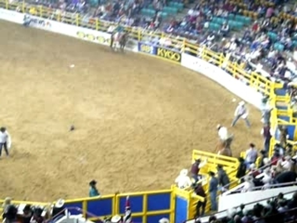 Bareback bronc