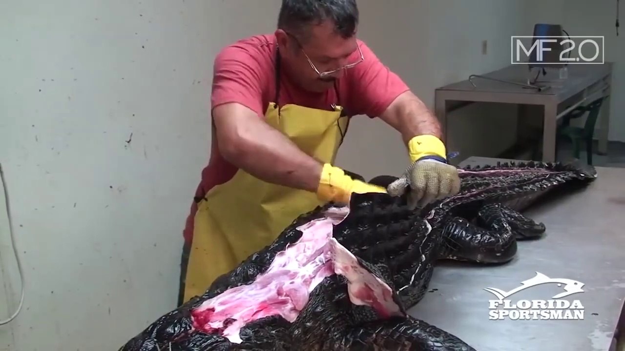 Fast Workers God Level 2019 (with Realistic Sound )