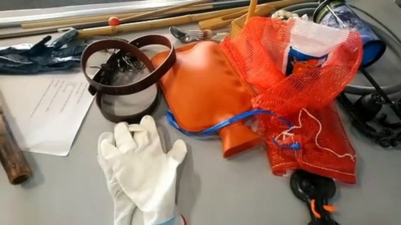 Festival d'animation d'Annecy : c'est quoi être bruiteur au cinéma ?