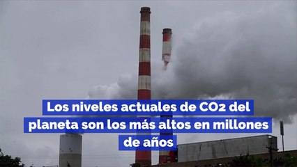 Los niveles actuales de CO2 del planeta son los más altos en millones de años