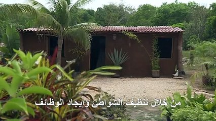 الطحالب البحرية في المكسيك تحفز الحس الابتكاري لدى رواد الأعمال