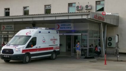 Bal arıları soktu: 1 ölü, 2 kişi hastaneye kaldırıldı