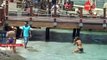 Bodrum'da, Akdeniz fokunu 'Denize giremiyoruz' diyerek belediyeye şikayet ettiler