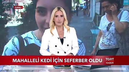 Mahalleli Kedi İçin Seferber Oldu