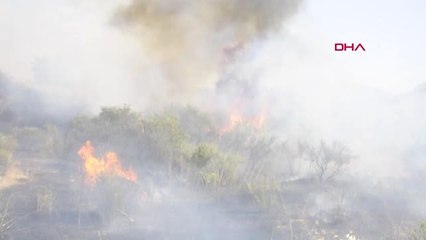 MANİSA Turgutlu'da arazi yangını korkuttu