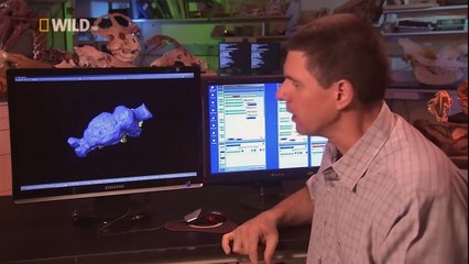 The Largest American Predator Creature That Lived After The Dinosaurs  (Nature Documentary)