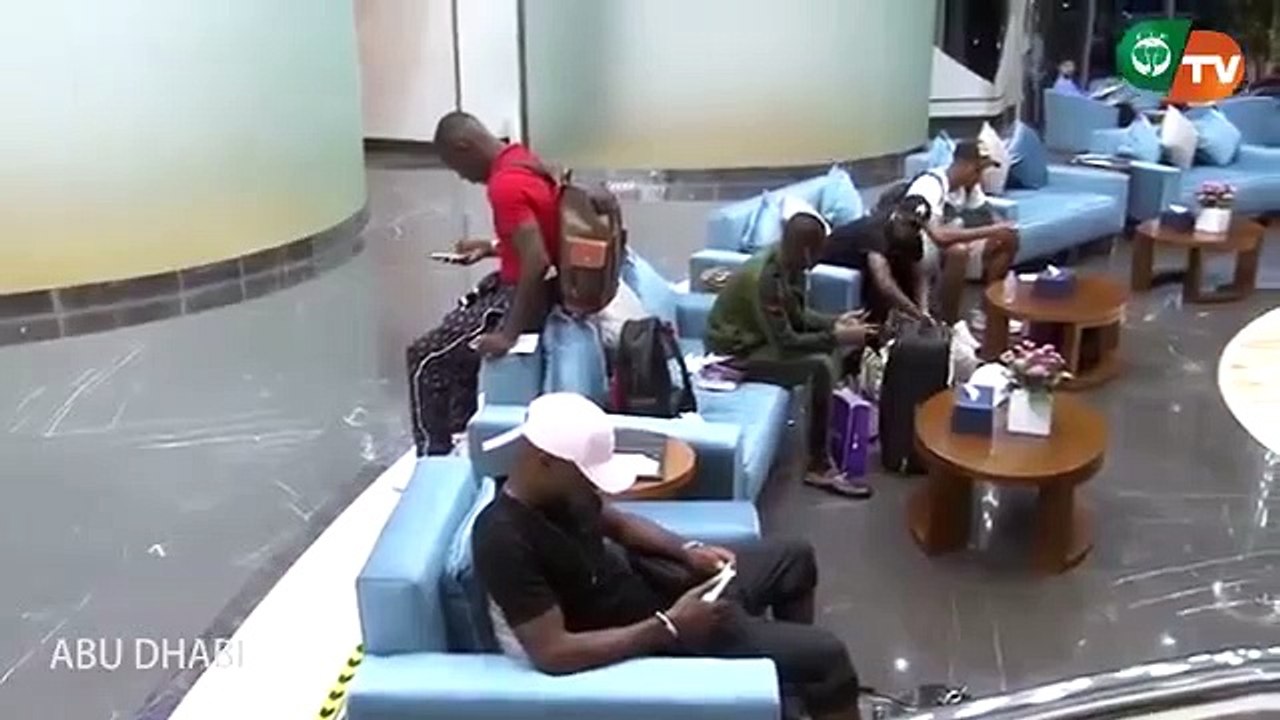 L’arrivée des Eléphants à Abou Dhabi