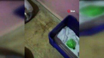 Alanya’da butik otele sahte içki operasyonu