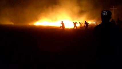 TİGEM arazisinde yangın